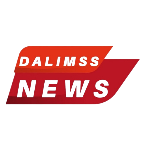 Dalimss News logo